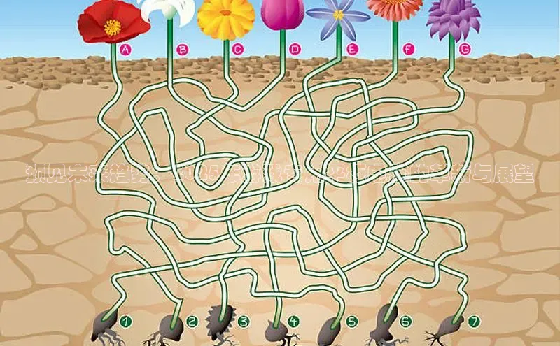 恒行6手机登录入口