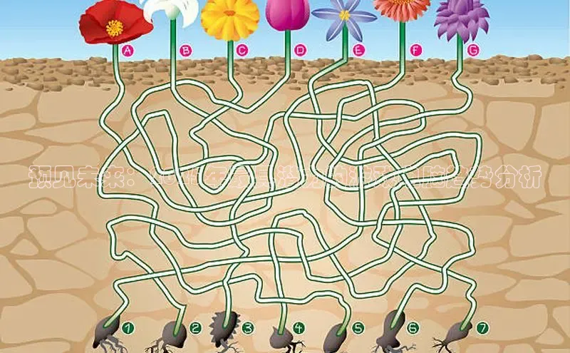 恒行注册官网入口